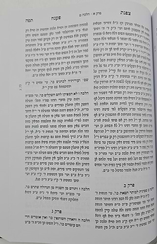 צפנת פענח השלם - על הרמב