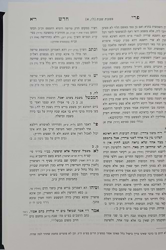 פרי חדש - על הש