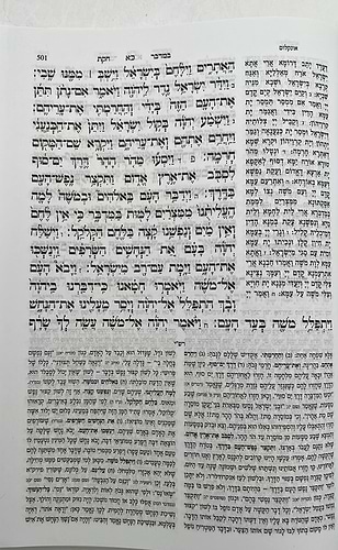 חמשה חומשי תורה עבודת ה' בכרך אחד / למינציה לבן