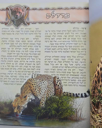 חיציקלופדיה לילדים ג' כרכים