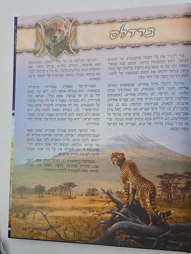 חיציקלופדיה לילדים ג' כרכים