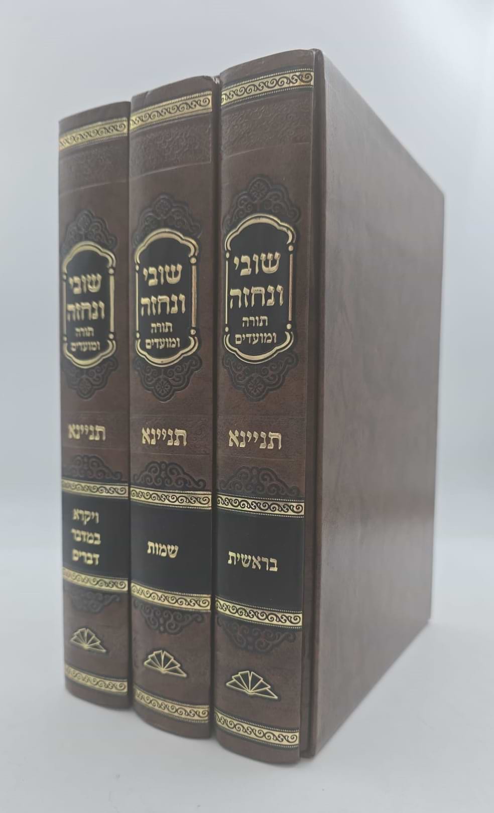 שובי ונחזה - תורה ומועדים ג
