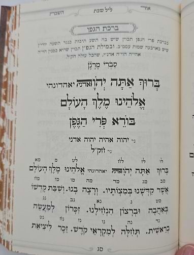 אור השבת - פורמט קטן / הרב בניהו שמואלי שליט