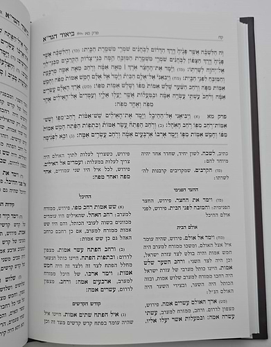 בנין אריאל - ביאור בנין בית שלישי / ע