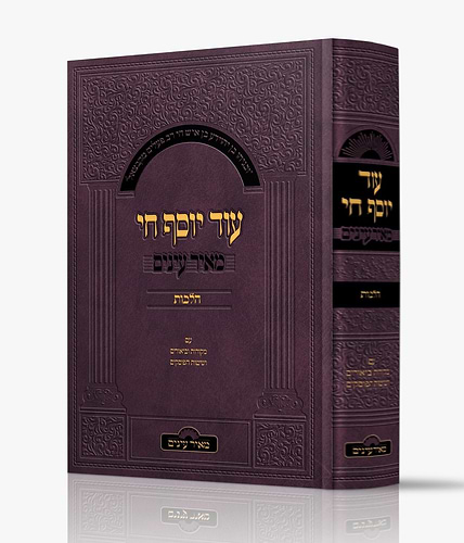 עוד יוסף חי הלכות - מאיר עיניים / עם מקורות וביאורים ושיטות הפוסקים