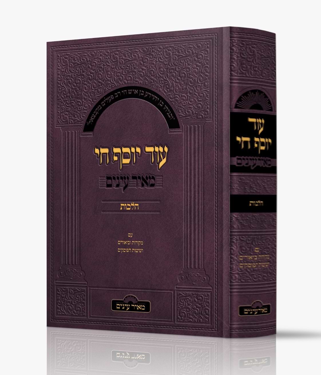 עוד יוסף חי הלכות - מאיר עיניים / עם מקורות וביאורים ושיטות הפוסקים