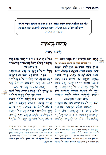 עוד יוסף חי הלכות - מאיר עיניים / עם מקורות וביאורים ושיטות הפוסקים