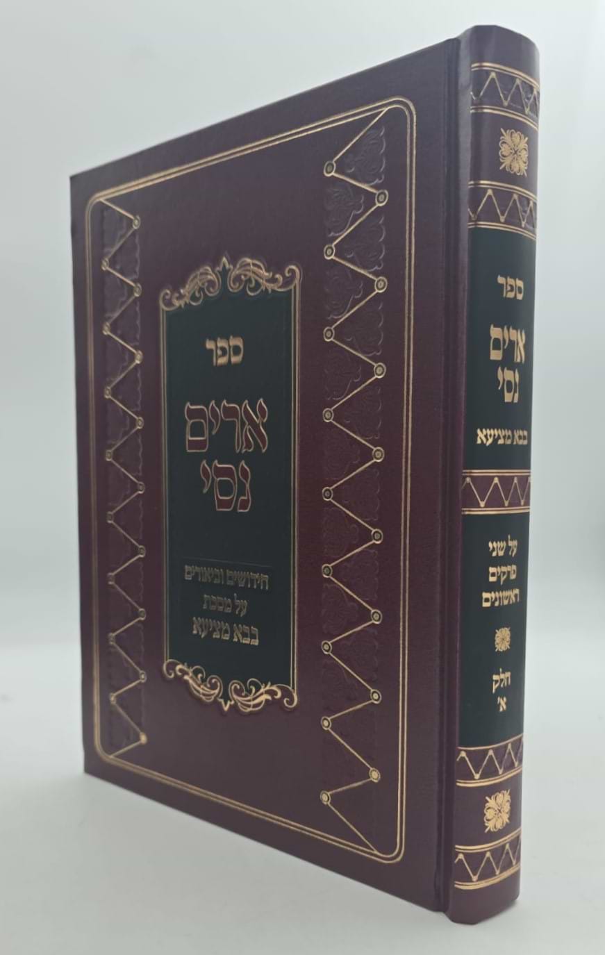 ארים נסי - בבא מציעא חלק א