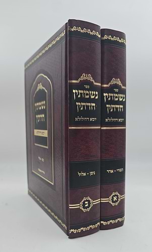 נשמתין חדתין - יומא דהילולא ב' כרכים / הרב י.מ מורגנשטרן