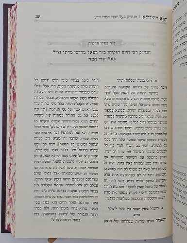 נשמתין חדתין - יומא דהילולא ב' כרכים / הרב י.מ מורגנשטרן