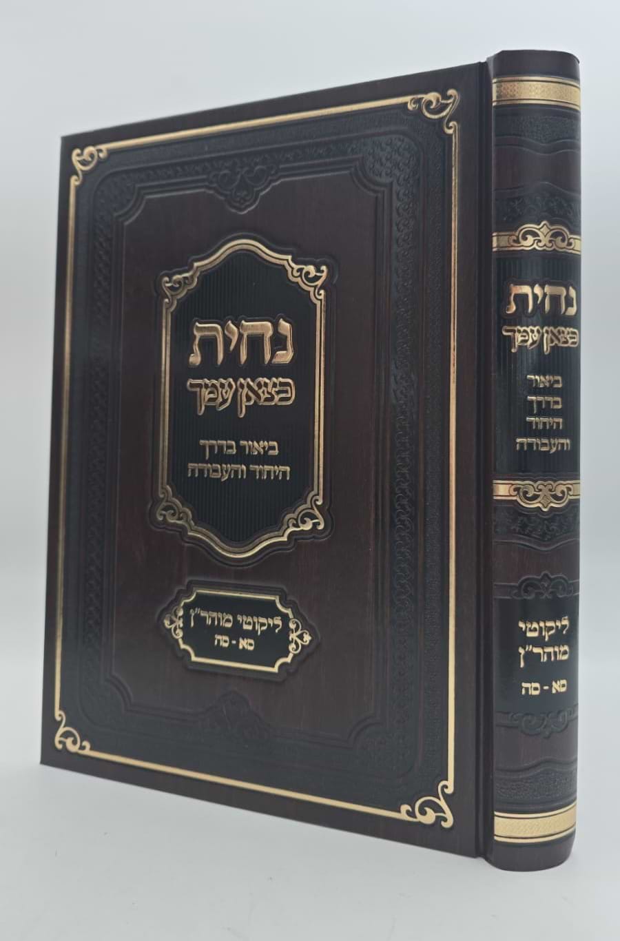 נחית כצאן עמך - ליקוטי מוהר"ן בדרך היחוד והעבודה חלק א