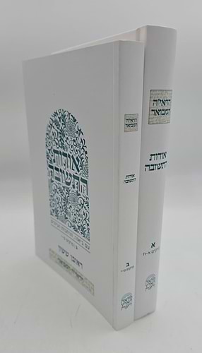 הראי