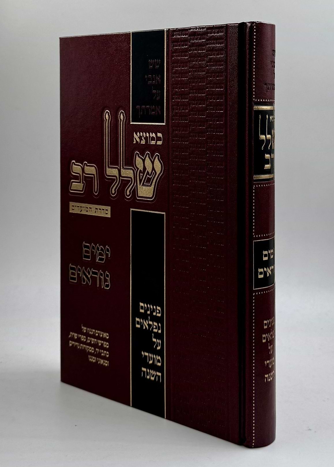 כמוצא שלל רב - ימים נוראים / סדרת המועדים