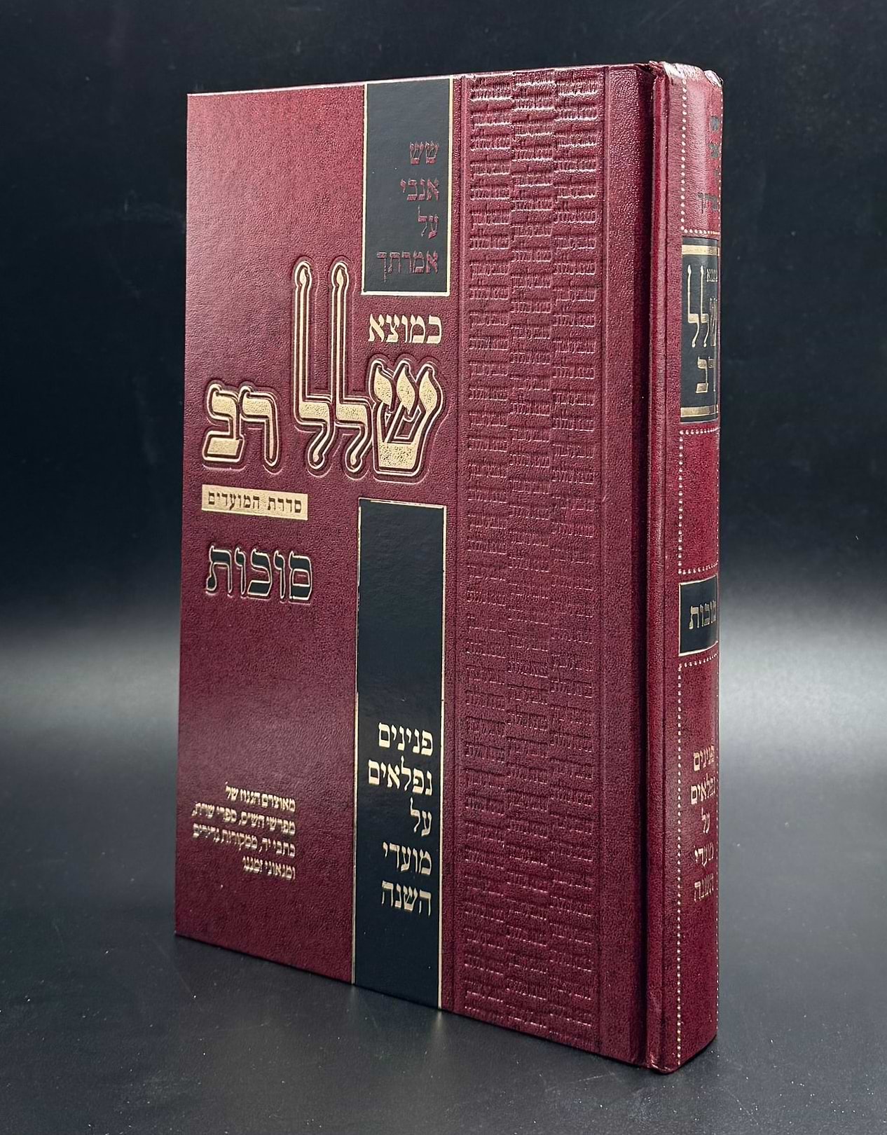 כמוצא שלל רב - סוכות / סדרת המועדים