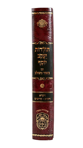 תולדות יעקב יוסף - ביאור משולב ויקרא א' / עוז והדר