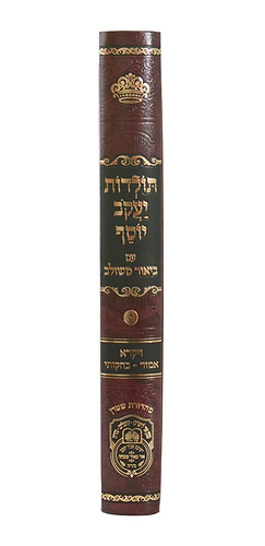 תולדות יעקב יוסף - ביאור משולב ויקרא ב' / עוז והדר