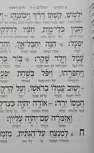 תהילים יסוד מלכות - צבע בורדו / פורמט גדול