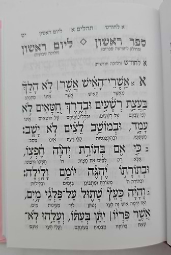 תהילים יסוד מלכות - צבע בורדו / פורמט קטן