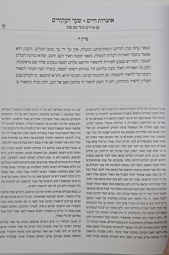 אוצרות חיים למהרח