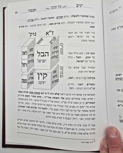 יניב חכמה ו' כרכים - ביאור סוד המועדים / המקובל יניב יעקב שליט