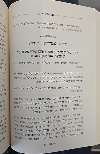 אש המגיד - בראשית / רבי אשר דרוק שליט