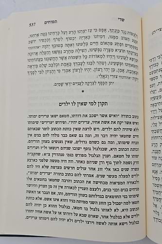 שדי תפוחים המסודר א-ב / תיקונים ותפילות