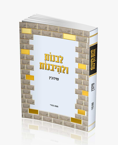 לבנות ולהיבנות - שידוכין / הרב משה פנירי שליט