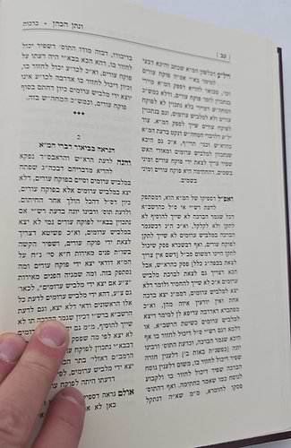 ונתן הכהן - ב' כרכים על הש