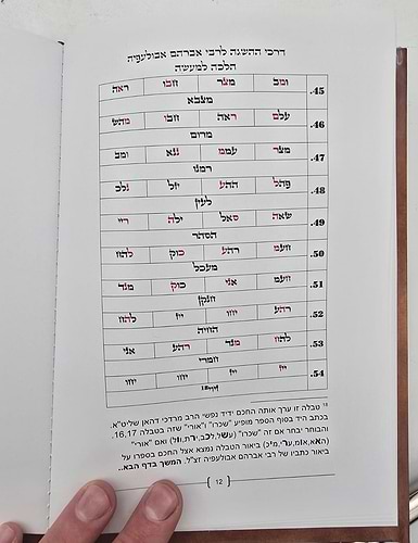 דרכי ההשגה לרבי אברהם אבולעפיה זיע