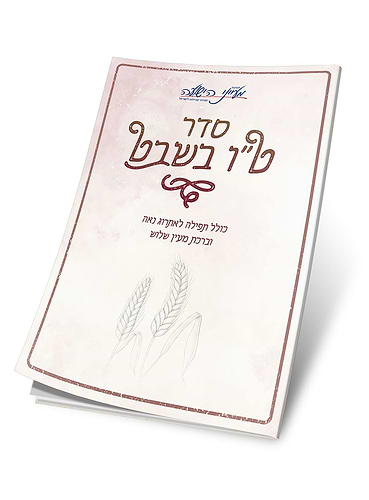 סדר ט