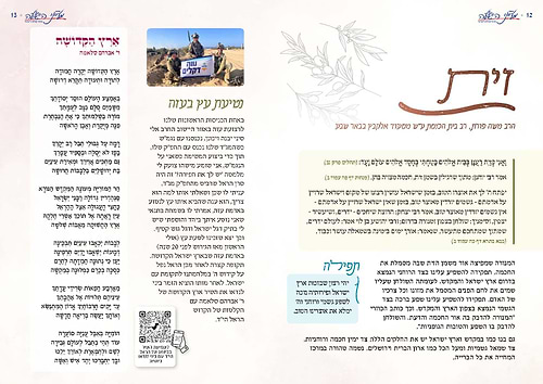 סדר ט