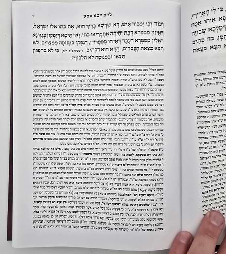 רב ייבא - סבא דמשפטים גלגולי הנשמות / רזין דנשמתין
