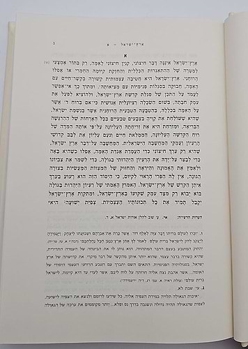 אורות - הראי