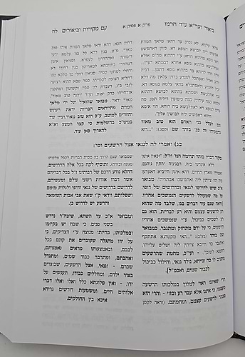 ביאור הגר