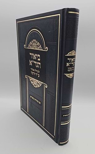 ביאור הגר