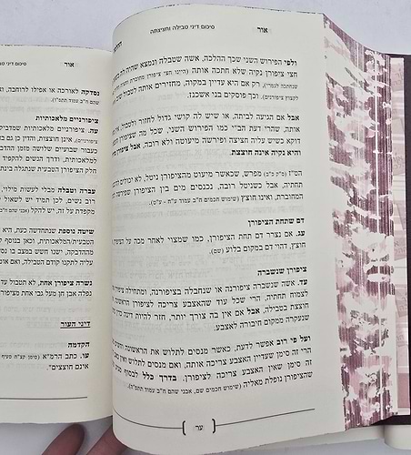 אור ההלכה - הלכות נדה, טהרת המשפחה ושלום בית ב' כרכים / הרב דוד הכהן שליט