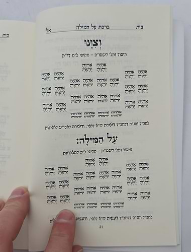 סדר ברית מילה - כוונות הרש