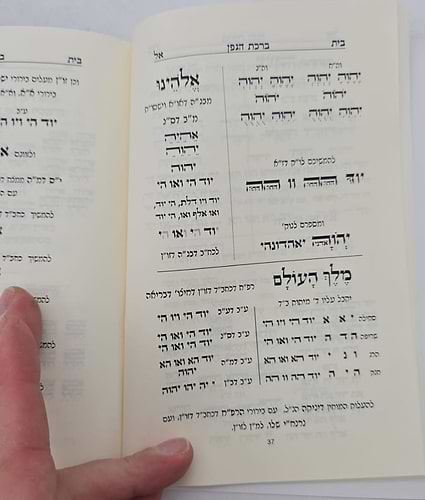 סדר ברית מילה - כוונות הרש