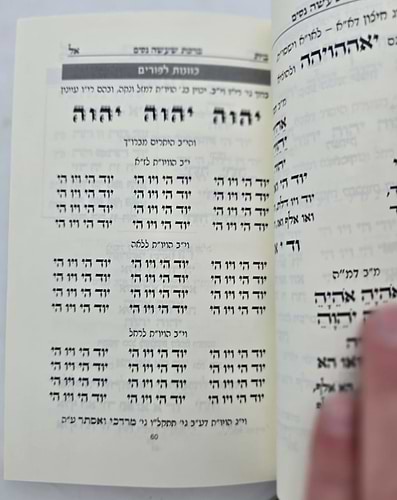 סדר פורים - כוונות הרש