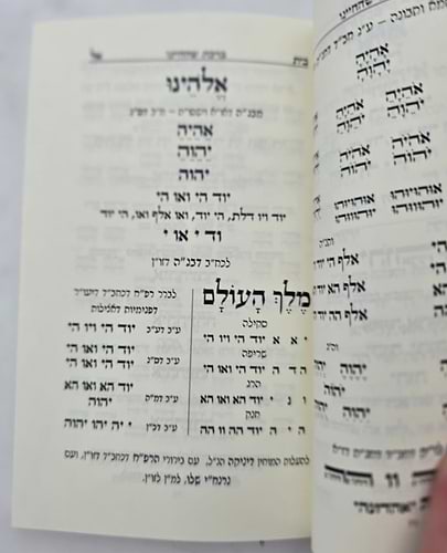 סדר פורים - כוונות הרש