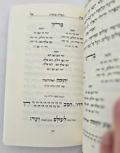 סדר פורים - כוונות הרש