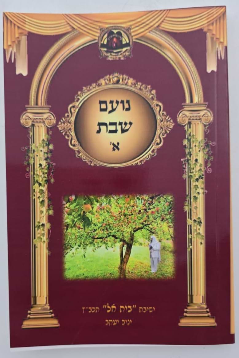 נועם שבת א