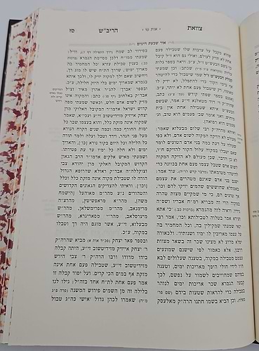 צוואת הריב