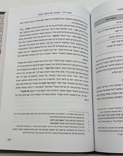 להתהלך - מגילת אסתר / הרב אורי הולצמן