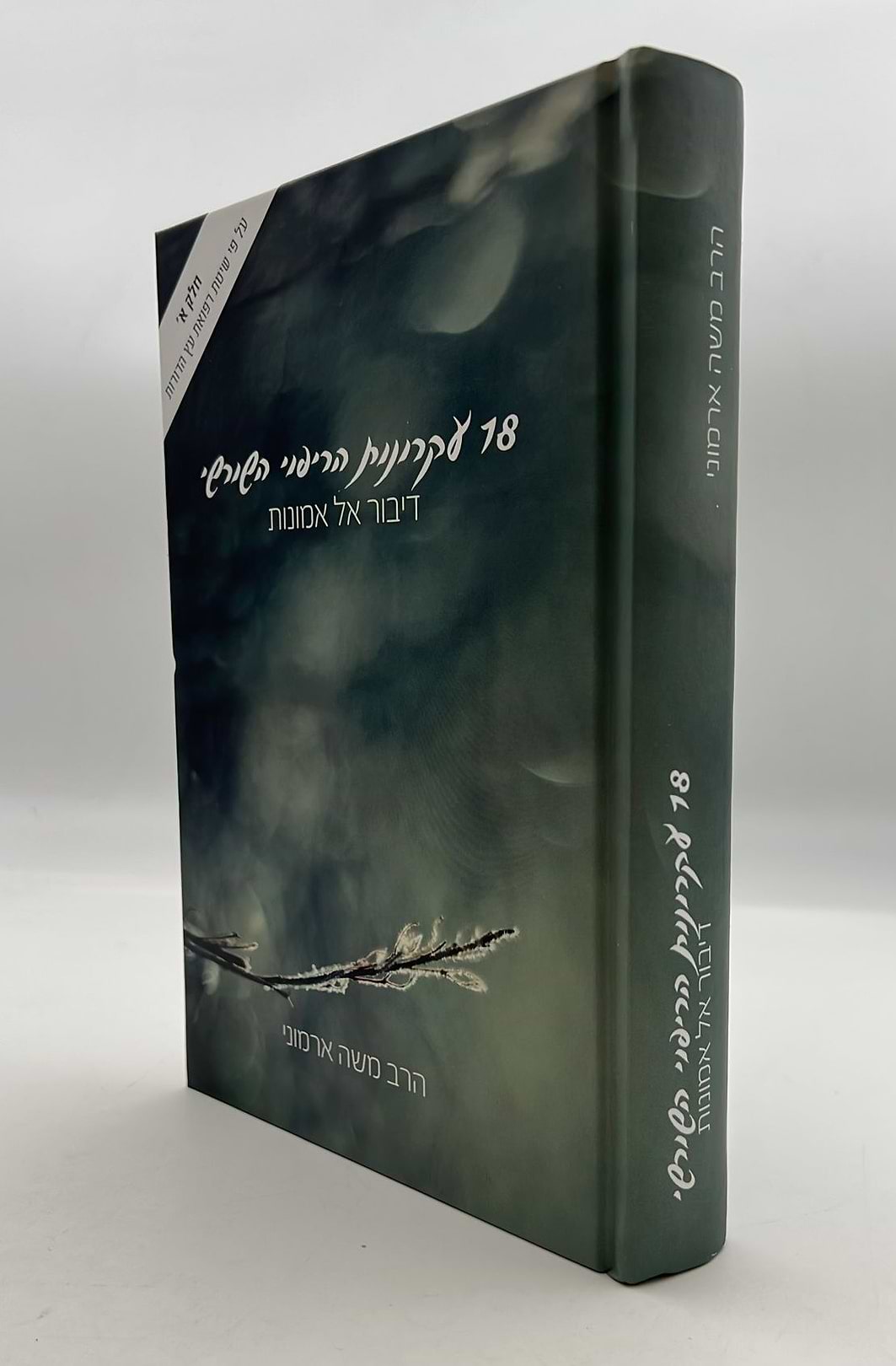 18 עקרונות הריפוי השורשי - דיבור אל אמונות / הרב משה ארמוני