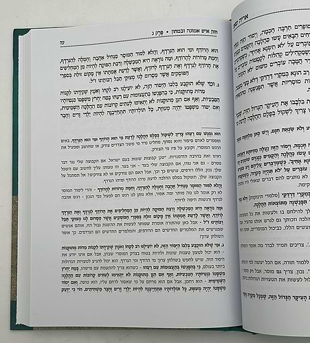 אריה שאג - על חזון איש אמונה וביטחון / רבי אריה שכטר זצ