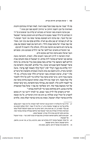 יציאת מצרים - חירות וברית / יונתן גרוסמן
