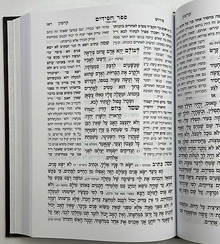 ספר חסידים המנוקד והמבואר / מכון אוצר הפוסקים