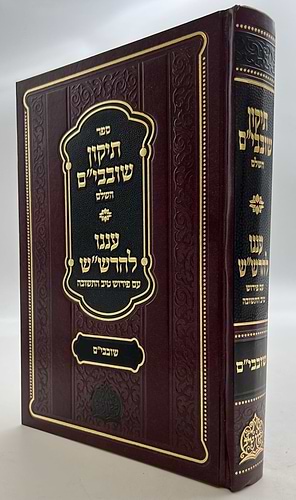 תקון שובבי