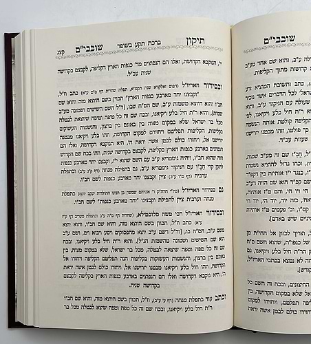 תקון שובבי